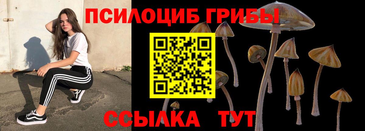 Нальчик  Галлюциногенные грибы GOLDEN TEACHER  Вход с VPN 